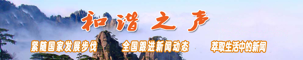 首页右侧广告一