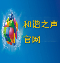 首页右侧广告一